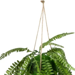 Northlight 18" Artificial Fern Plant With Moss Ball And Hanging Jute Cord -Northlight GUEST 5d0831f1 7f72 48be 9ffc 9cee800662e5