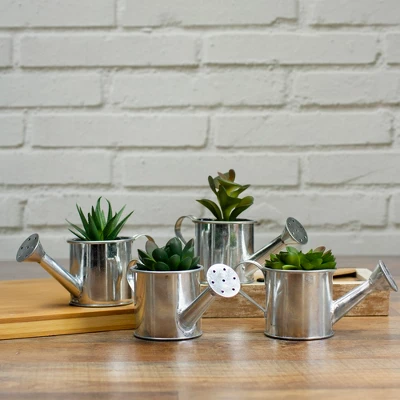 Northlight 4" Echeveria Succulent In Watering Can Artificial Potted Plant - Green/Silver 3 Northlight 4" Echeveria Succulent In Watering Can Artificial Potted Plant - Green/Silver