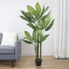 Northlight 59" Artificial Wide Leaf Green Dieffenbachia Potted Plant 1 Northlight 59" Artificial Wide Leaf Green Dieffenbachia Potted Plant -Northlight GUEST 614fab08 167f 4cdf 9fb5 fc548b26a3e5