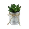 Northlight 5" Pachyveria Succulent Artificial Potted Plant - Green/Silver -Northlight GUEST 6336a826 3461 40a8 abb0 1cabf8660fc4