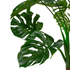Northlight 5' Potted Wide Leaf Green Monstera Artificial Floor Plant -Northlight GUEST 6399a964 7a1a 4951 bd56 5ad41a0a2b6c