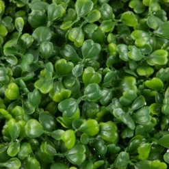 Northlight 19" Two Tone Green Artificial Boxwood Topiary Ball 8 Northlight 19" Two Tone Green Artificial Boxwood Topiary Ball -Northlight GUEST 6484c81b 15c0 4f8d 8c9c 76ad76a5f56f