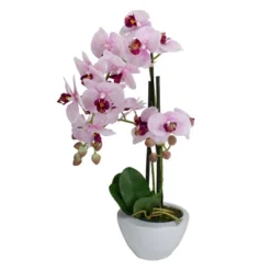Northlight 21" Pink And White Artificial Orchid Plant In A White Pot -Northlight GUEST 675ad793 3c07 45e4 990c 2aa93d6cf992
