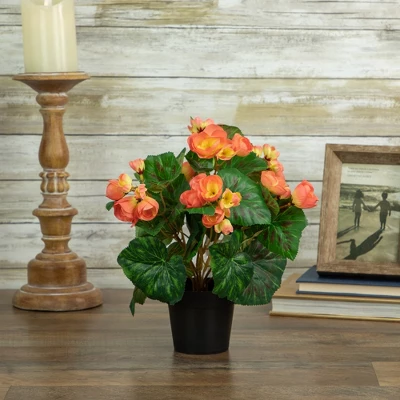 Northlight 11" Coral Pink Potted Silk Begonia Spring Artificial Floral Arrangement 3 Northlight 11" Coral Pink Potted Silk Begonia Spring Artificial Floral Arrangement