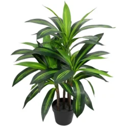 Northlight 36" Two-Tone Green Dracaena Artificial Potted Plant 9 Northlight 36" Two-Tone Green Dracaena Artificial Potted Plant -Northlight GUEST 67ed89e2 de9b 4f64 b181 f20d22362a74