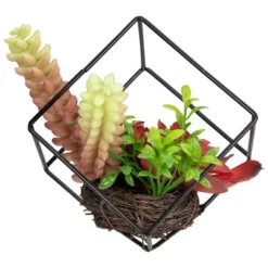 Northlight 5.5" Artificial Succulent Arrangement In Black Metal Wire Frame 8 Northlight 5.5" Artificial Succulent Arrangement In Black Metal Wire Frame -Northlight GUEST 68e0c154 15db 4cca 9a11 5dc80a312120