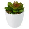 Northlight 4" Mini White Potted Artificial Succulent Plant -Northlight GUEST 6b157879 4892 40ae 8526 64666ff95c06