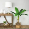 Northlight 4' Artificial Tropical Banana Tree In A Clay Pot -Northlight GUEST 6b801b94 2295 40ca bc99 6ebe078ccfdc