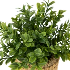 Northlight 7" Artificial Milan Leaf Bush In Rattan Basket -Northlight GUEST 6c6d29b2 2448 4172 9352 5c61221e93d5