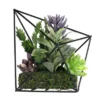 Northlight 6.75" Succulent Artificial Arrangement In Black Wire Terrarium - Green/Black 2 Northlight 6.75" Succulent Artificial Arrangement In Black Wire Terrarium - Green/Black -Northlight GUEST 6cda58aa 4b4c 4ac0 89ba 5c14beb9b280