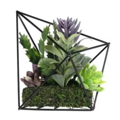 Northlight 6.75" Succulent Artificial Arrangement In Black Wire Terrarium - Green/Black