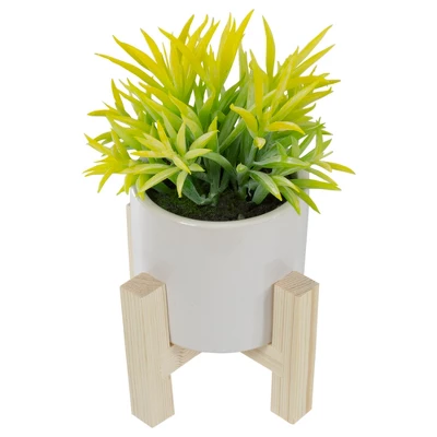 Northlight 8" Potted Green Artificial Succulent With Wooden Stand 6 Northlight 8" Potted Green Artificial Succulent With Wooden Stand - Image 4