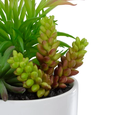 Northlight 9" Artificial Succulent Arrangement In White Ceramic Pot 6 Northlight 9" Artificial Succulent Arrangement In White Ceramic Pot - Image 4