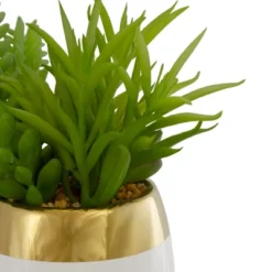 Northlight 6.5" Potted Mixed Artificial Succulent Arrangement -Northlight GUEST 73b2c1c8 dbbb 4870 963b 22d6a22f5291