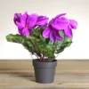 Northlight 12" Purple Potted Artificial Cyclamen Floral Arrangement -Northlight GUEST 742a897a 6d4e 41d6 87f8 e9fff8677408