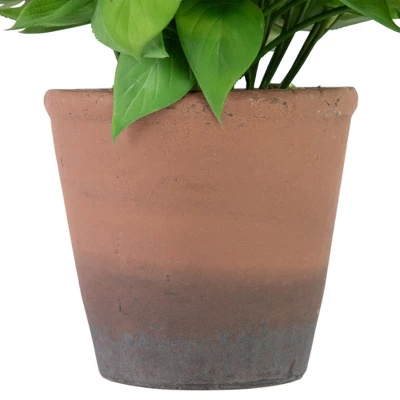 Northlight Real Touch™ Artificial Peperomia Watermelon Begonia Plant In Terracotta Style Pot - 7" 5 Northlight Real Touch™ Artificial Peperomia Watermelon Begonia Plant In Terracotta Style Pot - 7" - Image 3