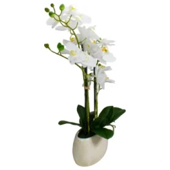 Northlight 22" Artificial White And Yellow Orchid Plant With A White Oval Pot Tabletop Decor -Northlight GUEST 780d0afe 1fa3 4dc8 8bd0 cd3295d93b1c