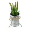 Northlight 7" Ombre Cactus Artificial Potted Plant - Green/Silver -Northlight GUEST 787799fe 3677 4786 bbde 4ea548308143