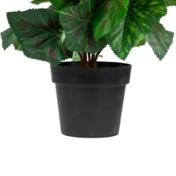 Northlight 11" Cream Potted Silk Begonia Spring Artificial Floral Arrangement -Northlight GUEST 7931266b d73f 4bb9 837c bdbb6c5500f0