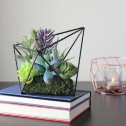 Northlight 6.75" Succulent Artificial Arrangement In Black Wire Terrarium - Green/Black -Northlight GUEST 7bdc1a4f 441b 4904 b57c e601a0a7560e