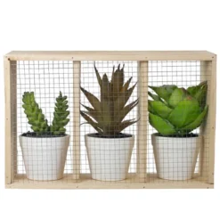 Northlight 10.75" Artificial Mixed Potted Succulents In Wooden Box -Northlight GUEST 7c645dbe 002a 4fb4 9448 945b9fe90901