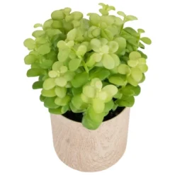 Northlight 10" Green Artificial Privet Plant In Faux Wood Pot -Northlight GUEST 826077f3 7e52 4950 9200 f6f80579cc86