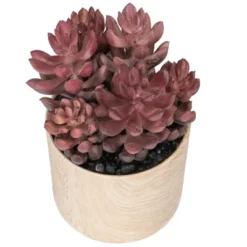 Northlight 7" Purple Artificial Succulent In Faux Wood Pot -Northlight GUEST 863e8c39 c835 430c aad8 c969438903e0