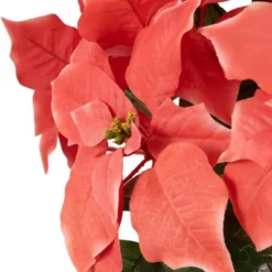 Northlight 28" Dark Pink Artificial Christmas Poinsettia With Gold Wrapped Base 11 Northlight 28" Dark Pink Artificial Christmas Poinsettia With Gold Wrapped Base -Northlight GUEST 8888e533 a0c1 492e bc01 befece789537