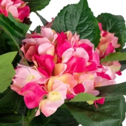Northlight 25.75" Hydrangea Flower Artificial Potted Plant - Pink/Green 11 Northlight 25.75" Hydrangea Flower Artificial Potted Plant - Pink/Green -Northlight GUEST 8889b9e8 71c1 4911 b15c d80f65313200