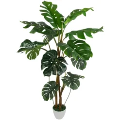 Northlight Real Touch™ Artificial Monstera Artificial Plant In A White Textured Pot - 4.25' 10 Northlight Real Touch™ Artificial Monstera Artificial Plant In A White Textured Pot - 4.25' -Northlight GUEST 88935d94 d5af 4f5a 90cc 887a2df33040