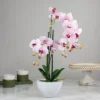 Northlight 21" Pink And White Artificial Orchid Plant In A White Pot -Northlight GUEST 88afb9df 9edb 4077 b501 de2f079e33e2
