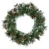 Northlight Snow Valley Pine Artificial Christmas Wreath, 24-Inch, Unlit 2 Northlight Snow Valley Pine Artificial Christmas Wreath, 24-Inch, Unlit -Northlight GUEST 8e101367 a27f 41dc ac02 8eb62ccf1ece
