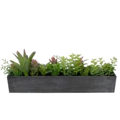 Northlight 23" Artificial Mixed Succulent Plants In A Rectangular Planter -Northlight GUEST 8ef18065 5d8e 48e4 9574 5da9f8739640