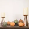 Northlight Set Of 6 Boxed Orange And Green Pumpkin Thanksgiving Decorations -Northlight GUEST 8ffc2bcf d939 4393 b55a 31a9da2da5a6
