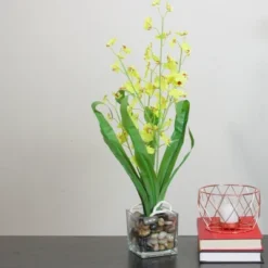 Northlight 23.5" Dancing Lady Orchid Silk Flower Artificial Potted Plant - Yellow -Northlight GUEST 91e90801 4077 468c 9bf3 94a9d6be8311