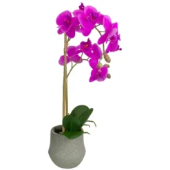 Northlight 14" Purple Artificial Orchid Plant With A Gray Stone Pot -Northlight GUEST 91feb411 97d3 4578 bafa 49fae4c0d5df
