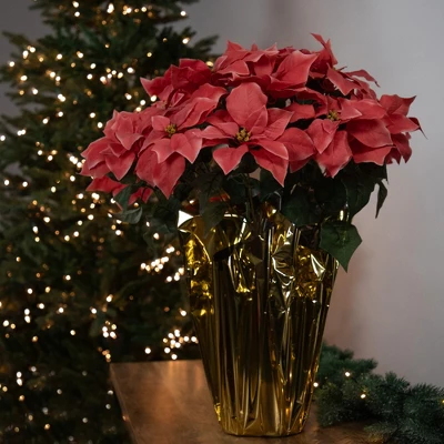 Northlight 28" Dark Pink Artificial Christmas Poinsettia With Gold Wrapped Base 3 Northlight 28" Dark Pink Artificial Christmas Poinsettia With Gold Wrapped Base