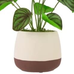 Northlight 10.25" Artificial Peperomia Plant In Two-Tone Ceramic Pot -Northlight GUEST 9717fb24 19da 4293 a814 8ab59c4b7a8b