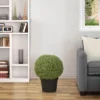 Northlight 22" Artificial Boxwood Ball Topiary In Round Pot, Unlit -Northlight GUEST 9725bf24 d2d6 49d3 a535 691aa20b87de
