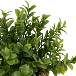 Northlight 7" Artificial Milan Leaf Bush In Rattan Basket -Northlight GUEST 9779718a 118e 4ca7 851d baa1a781c401