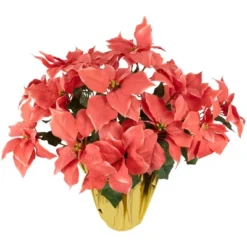 Northlight 28" Dark Pink Artificial Christmas Poinsettia With Gold Wrapped Base 9 Northlight 28" Dark Pink Artificial Christmas Poinsettia With Gold Wrapped Base -Northlight GUEST 9f6b5da2 2bac 4328 9d09 b151db3e6a0f