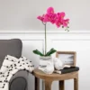 Northlight Real Touch™ Pink Artificial Spring Orchids In A Striped Ceramic Pot 2" -Northlight GUEST 9fb5159e 70aa 466f 827d 37ee0c809837