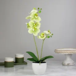 Northlight 14" Ivory, Green, And White Artificial Orchid Potted Plant Tabletop Decor