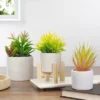 Northlight 8" Potted Green Artificial Succulent With Wooden Stand -Northlight GUEST a608e5a6 55d3 4973 9954 21ecb864f599