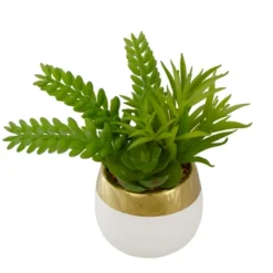 Northlight 6.5" Potted Mixed Artificial Succulent Arrangement -Northlight GUEST a6b9926a 4f3e 4c9e 94de 202de20f18aa