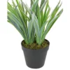 Northlight 13" Two-Tone Grass Artificial Potted Plant - Green/White -Northlight GUEST a972c648 7d33 493e 84ff 1aac1c367eb4