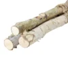 Northlight 38.5" Birch Wood Branch Bundle Christmas Display -Northlight GUEST abe83021 40a1 4968 b0e8 a9bf85ee3d07