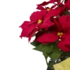Northlight 28" Red Artificial Christmas Poinsettia With Gold Wrapped Pot -Northlight GUEST abe976f5 8a68 4ab8 841c bf890d3e51e7
