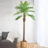 Northlight 8' Unlit Artificial Potted Phoenix Palm Tree -Northlight GUEST abfb8dc0 edbc 4699 beed 400ac37de436