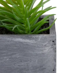 Northlight 12" Artificial Mixed Succulent Plants In A Rectangular Planter -Northlight GUEST b082e321 68c6 4a6d 9584 3672f07fc35e